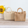 Elena Handbags Beach Straw Woven Box Crossbody Bag
