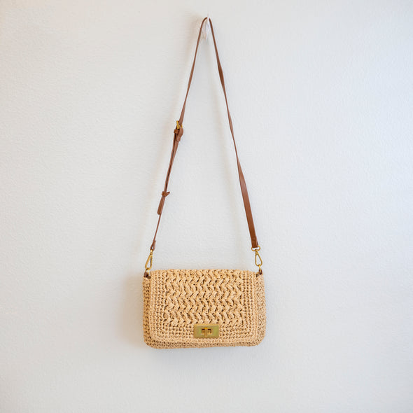 Elena Handbags Crossbody Leather and Straw Bag