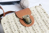 Elena Handbags Straw Woven Square Box Bag with Leather Flap